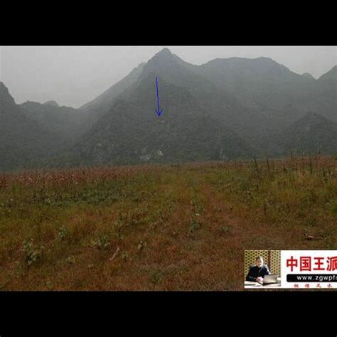 官星 意思